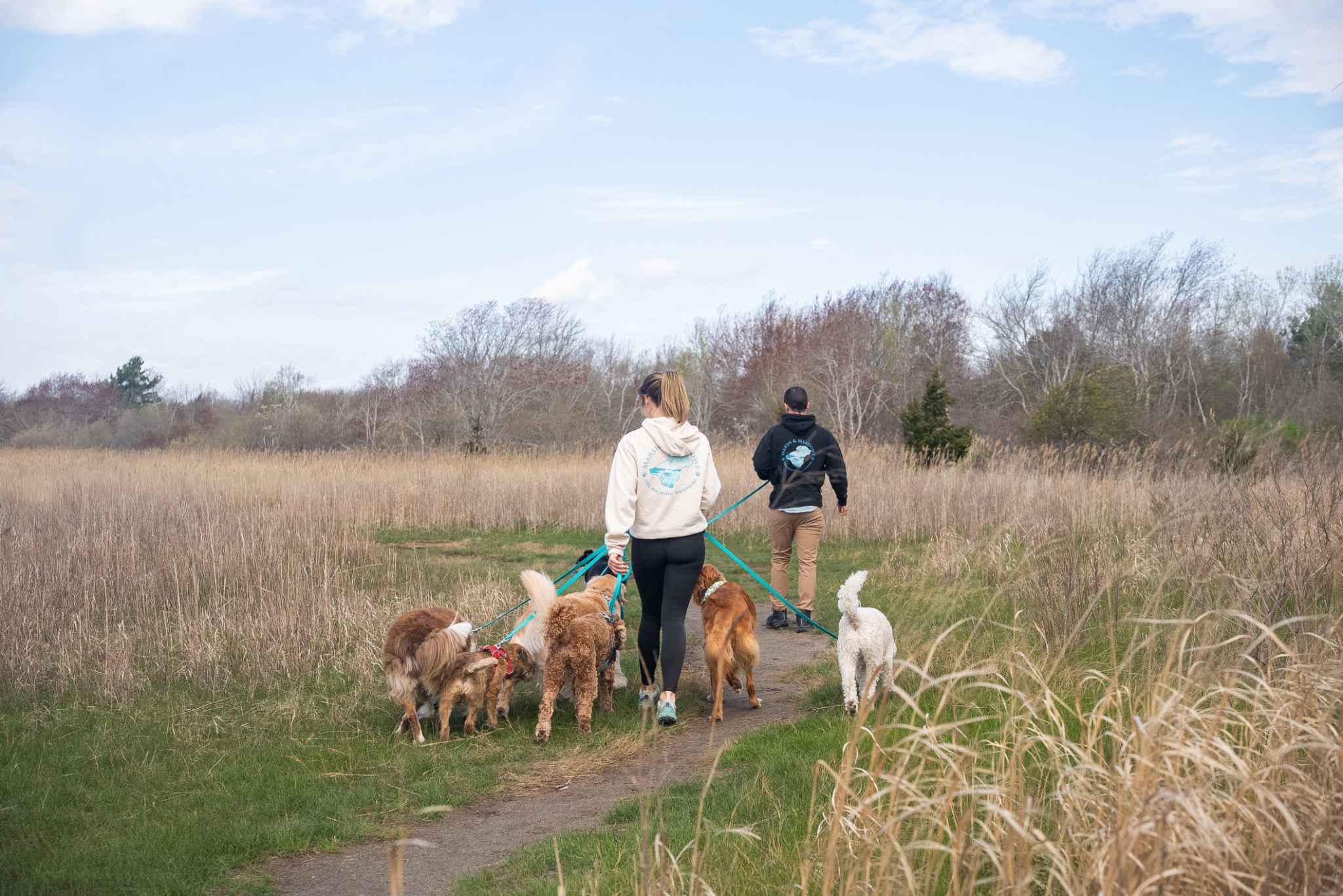 A dog pack heading down a coastal trail